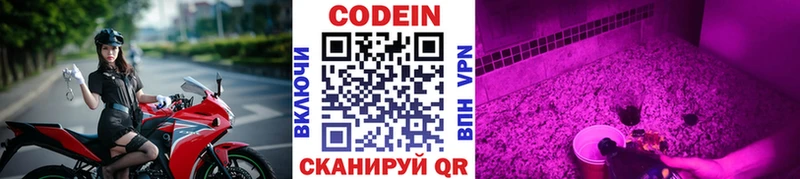 где продают   Курган  Codein Purple Drank 