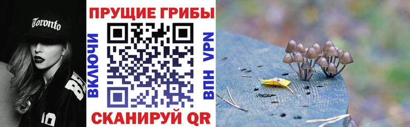 Псилоцибиновые грибы Magic Shrooms что такое наркотик Курган