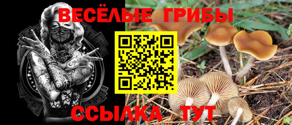 Конопля Курган