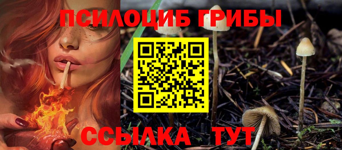 Псилоцибиновые грибы ЛСД  Вход с VPN  Курган  Галлюциногенные грибы Psilocybe 