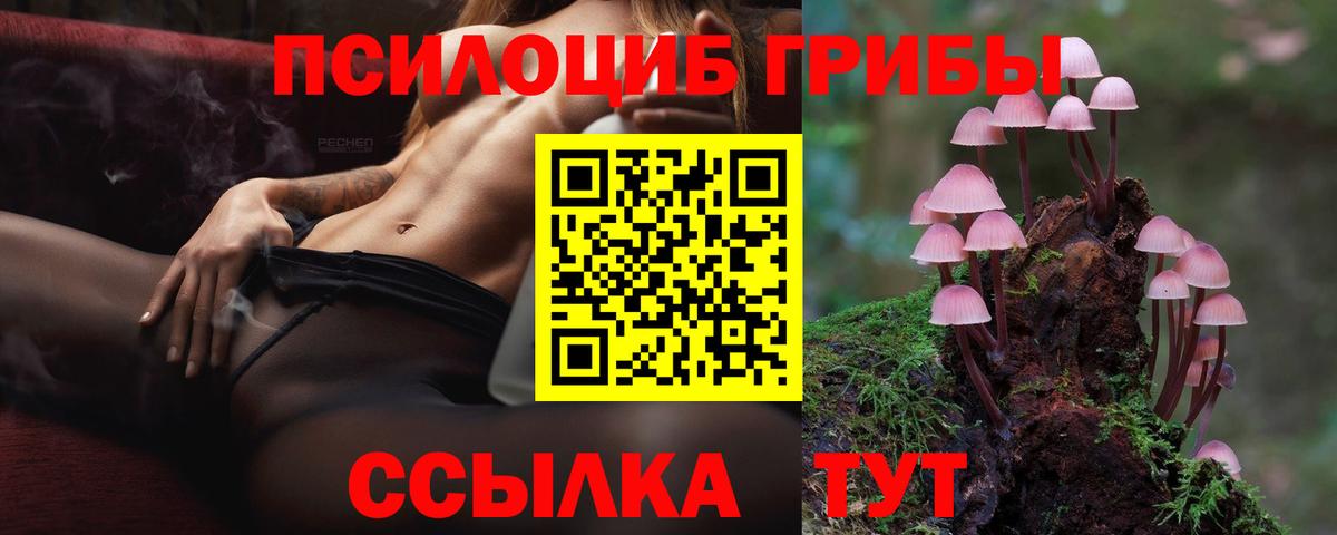Галлюциногенные грибы MAGIC MUSHROOMS Курган