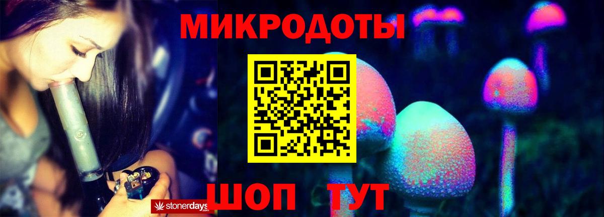 Псилоцибиновые грибы Psilocybe Курган