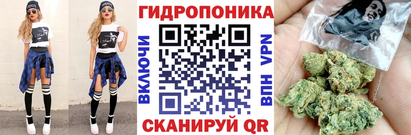 Бошки Шишки планчик  дарнет шоп  маркетплейс Telegram  Курган 